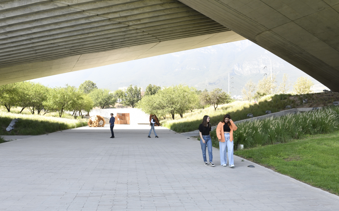 accesibilidad05