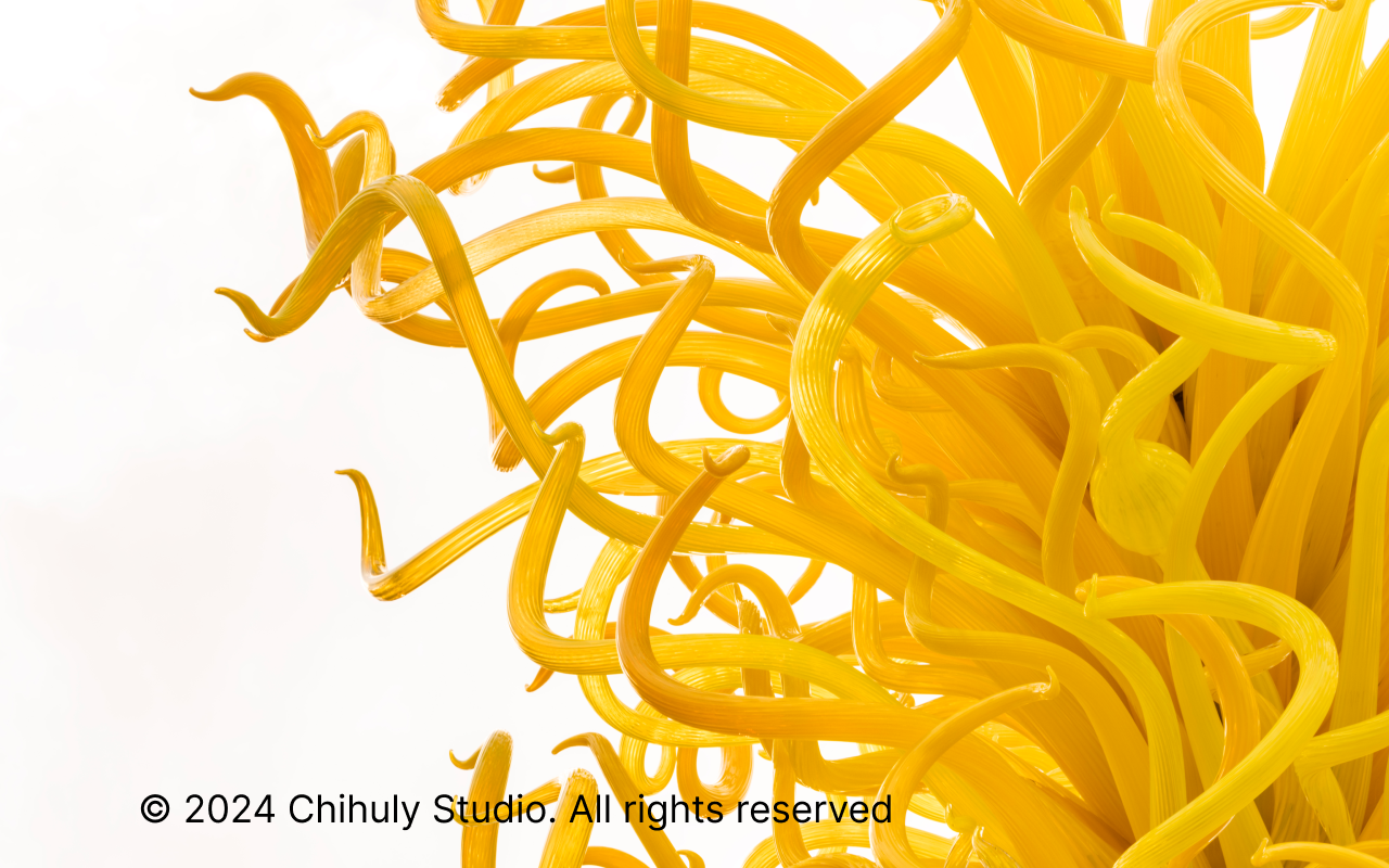 2024 Chihuly Studio. All rights reserved