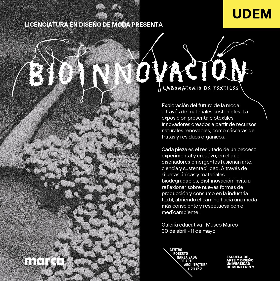 archivo UDEM