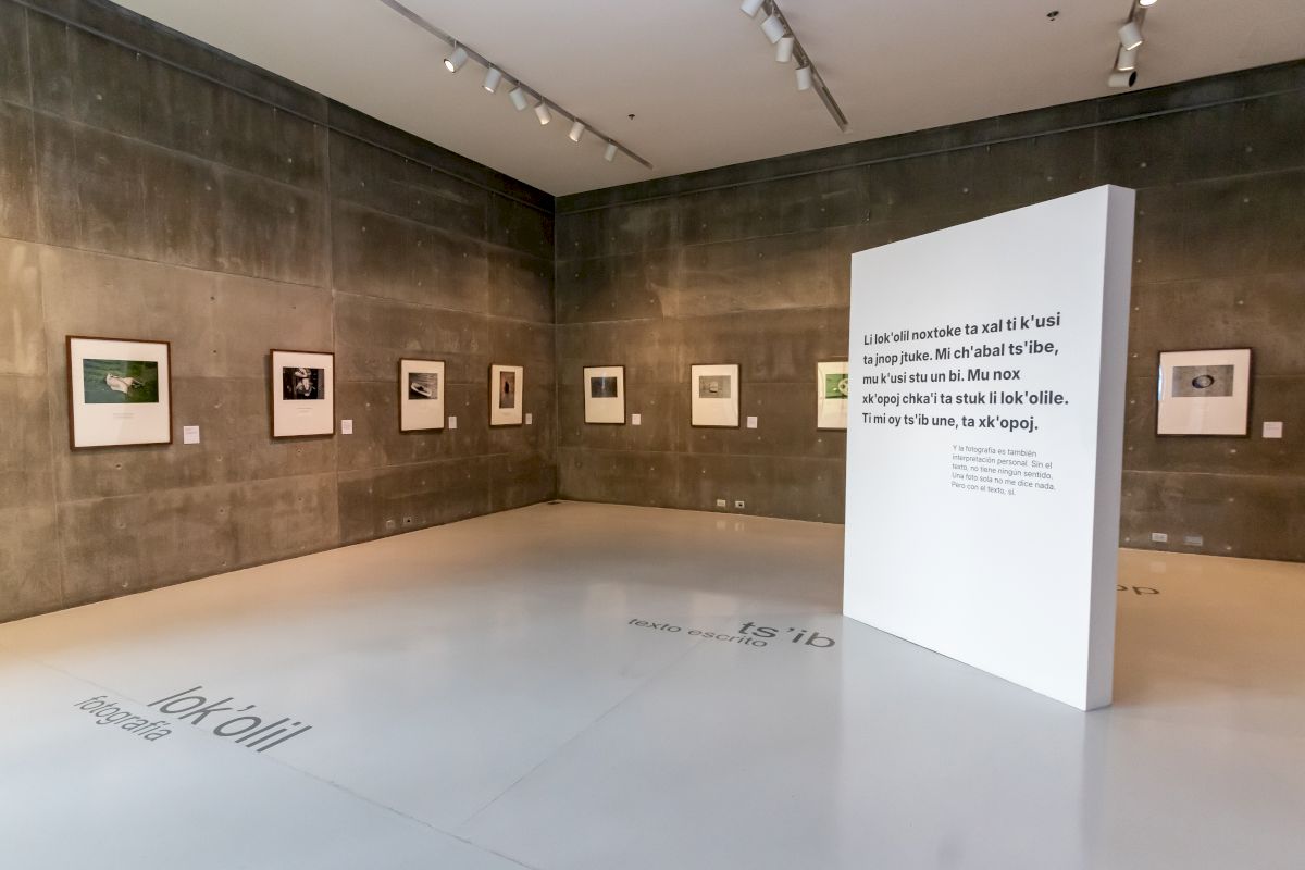 obra Maruch Sántiz Gómez,