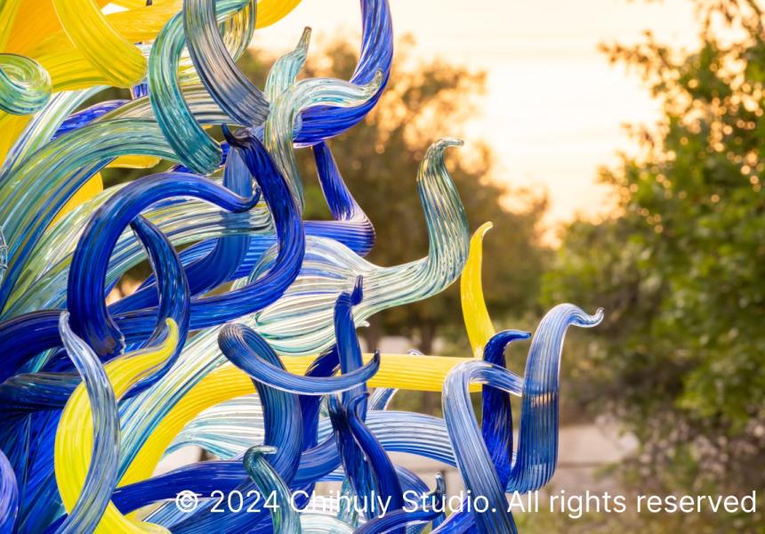 2024 Chihuly Studio. All rights reserved